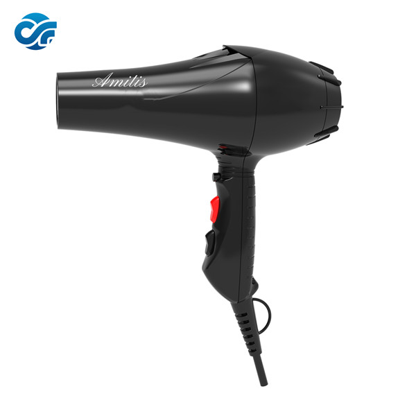 AM-501<br>Professional Hair Dryer